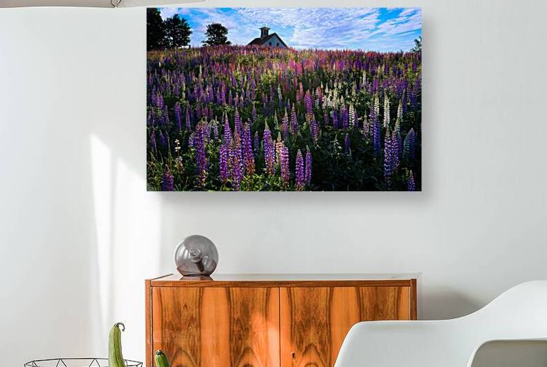 Spring Colors by Rick Berk
