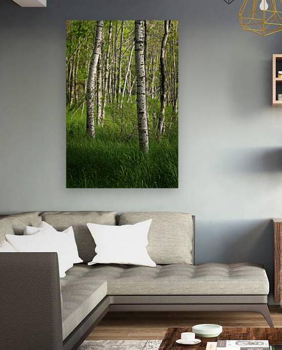 Morning Among The Birches by Rick Berk