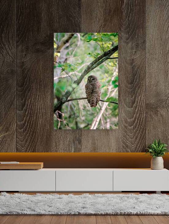 Woodland Sentinel by Rick Berk