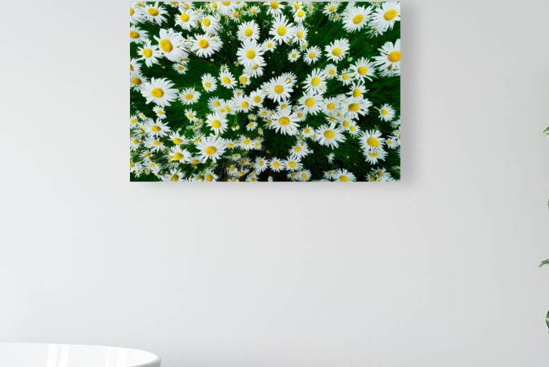 Blossoming Beauty by Rick Berk