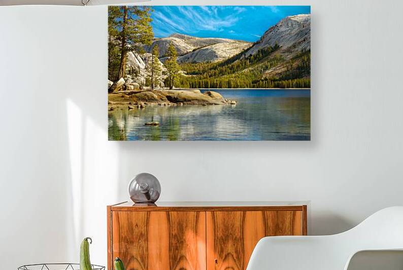 Tenaya Lake by Rick Berk