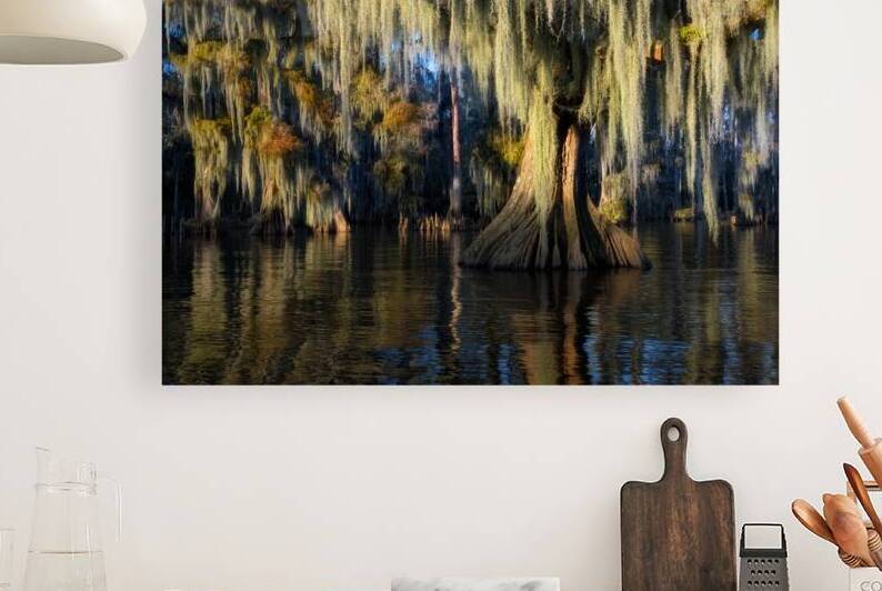 From Sunlight to Shadow by Rick Berk