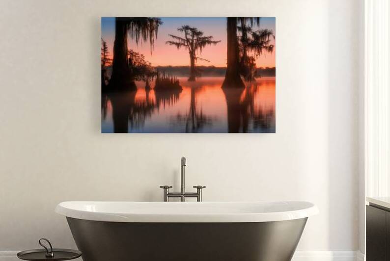 Bayou Dream by Rick Berk