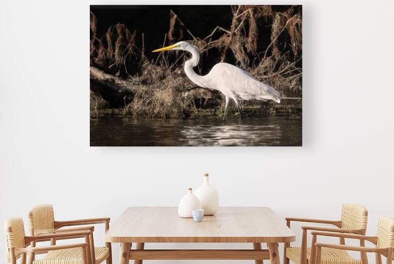 Snowy Egret by Rick Berk