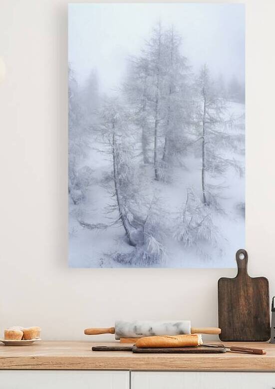 The Silence of Snow by Rick Berk