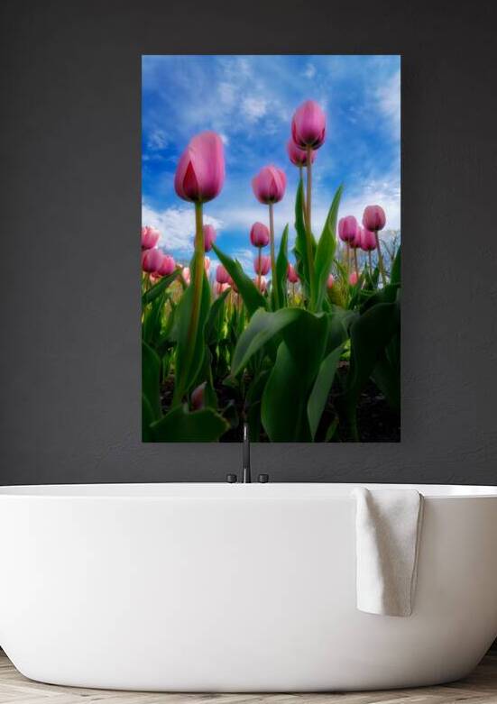 Tulip Dreams Reproduction