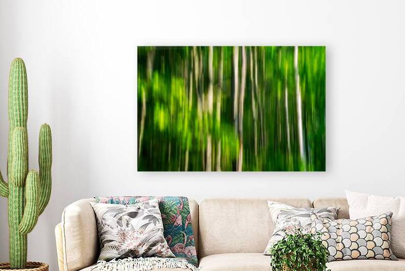 Spring Birches Abstract by Rick Berk
