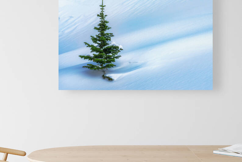 Lone Pine by Rick Berk