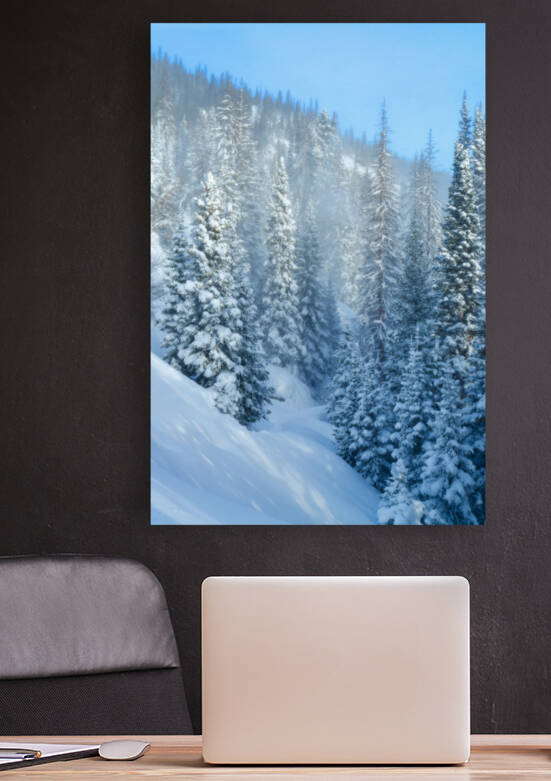 Snowy Spruces by Rick Berk