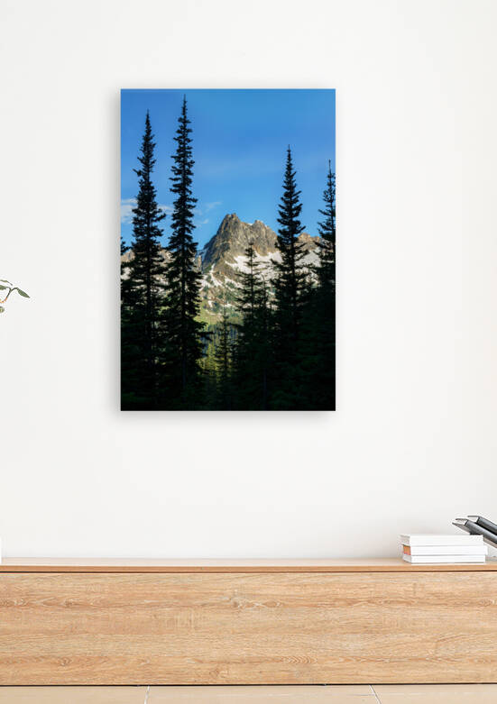 Cutthroat Peak Reproduction