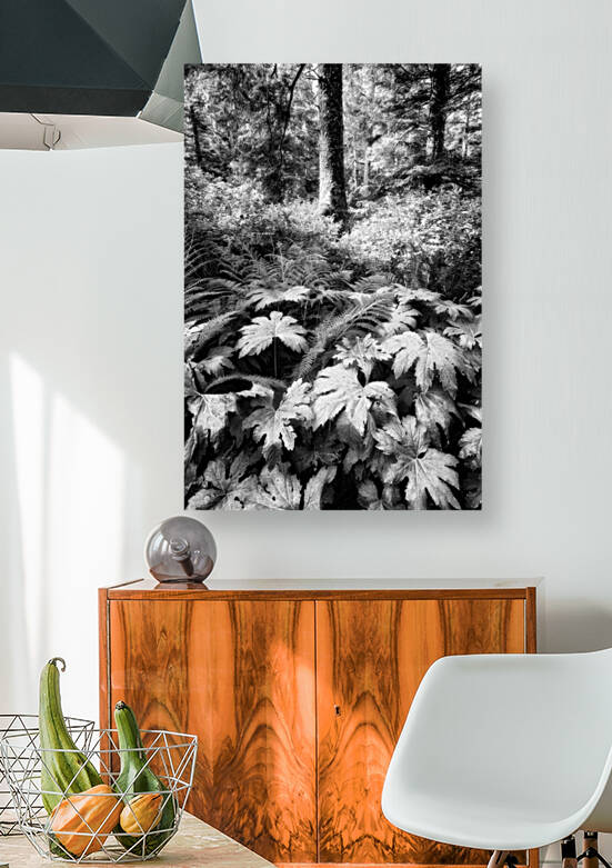 The Old Growth Forest by Rick Berk