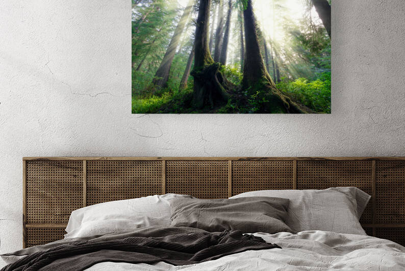 The Wood Between The Worlds by Rick Berk