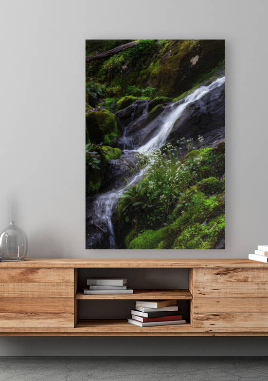 Jones Run Falls I by Rick Berk