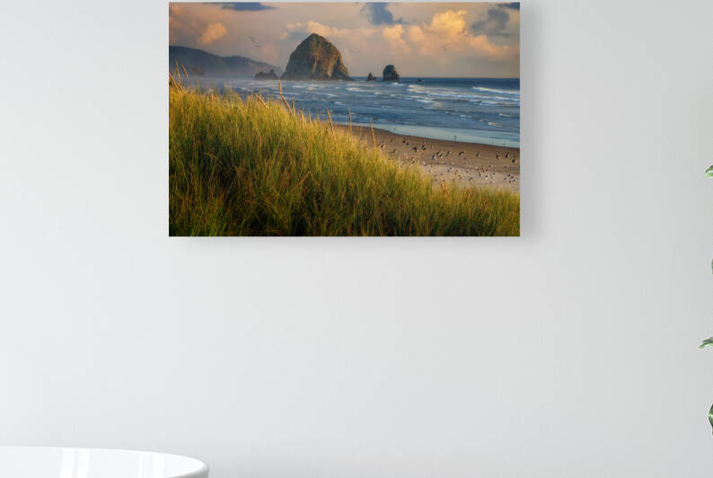Summer Evening at Haystack Rock by Rick Berk