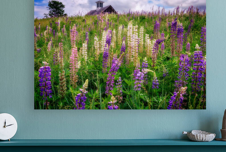 Spring Blooms in Maine by Rick Berk