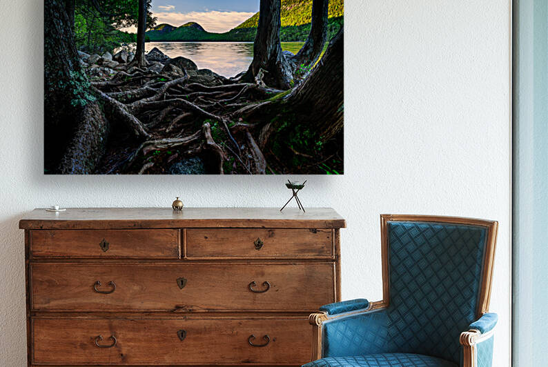 Jordan Pond Through The Trees by Rick Berk