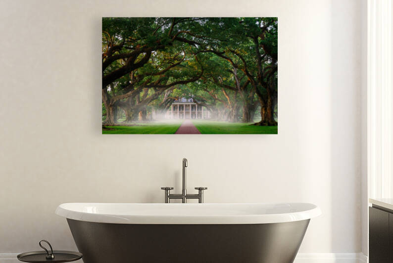 Oak Alley Plantation by Rick Berk