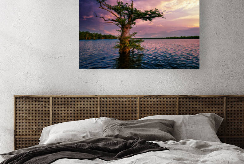 Bayou Twilight by Rick Berk