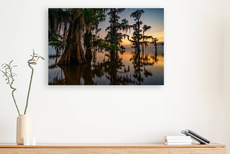 Dawn in the Swamp by Rick Berk