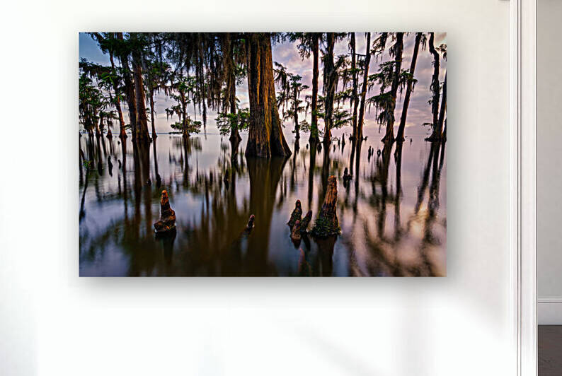 Maurepas Morning by Rick Berk