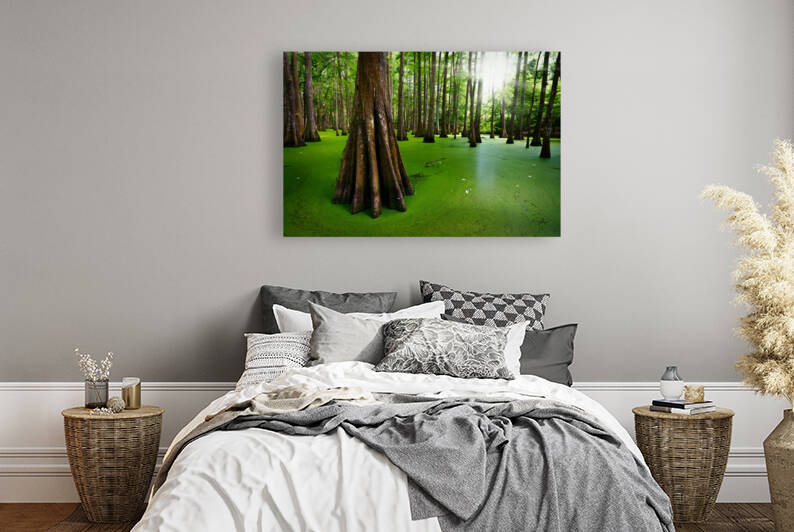 Cypresses on Chicot Lake by Rick Berk