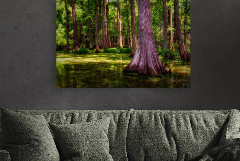 Spring in the Bayou by Rick Berk