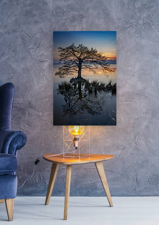Lone Cypress at Dusk by Rick Berk
