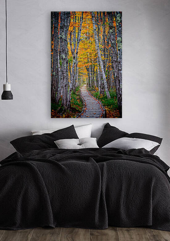 Jesup Path II by Rick Berk
