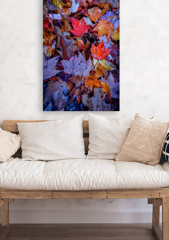 Wet Leaves Reproduction