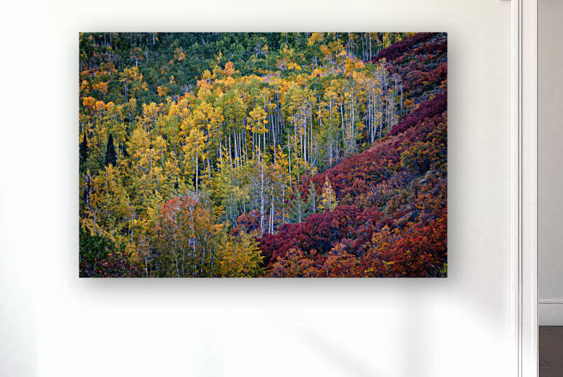 Aspen Autumn by Rick Berk