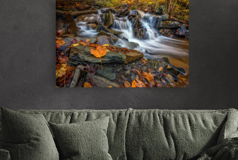 Fallen Leaf in Ricketts Glen by Rick Berk
