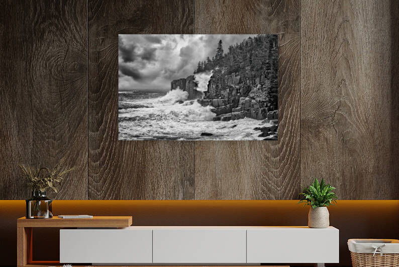 Noreaster at Otter Cliff by Rick Berk