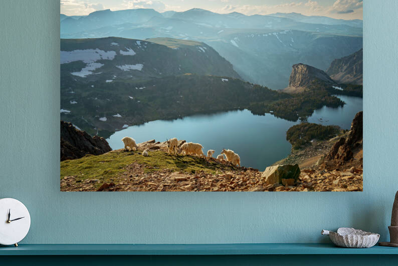 At Home in the Mountains by Rick Berk