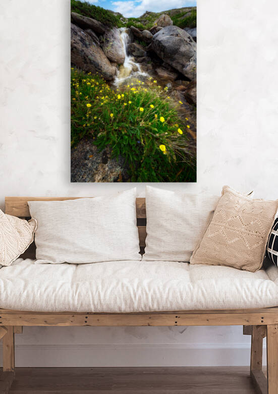 Alpine Cascade by Rick Berk