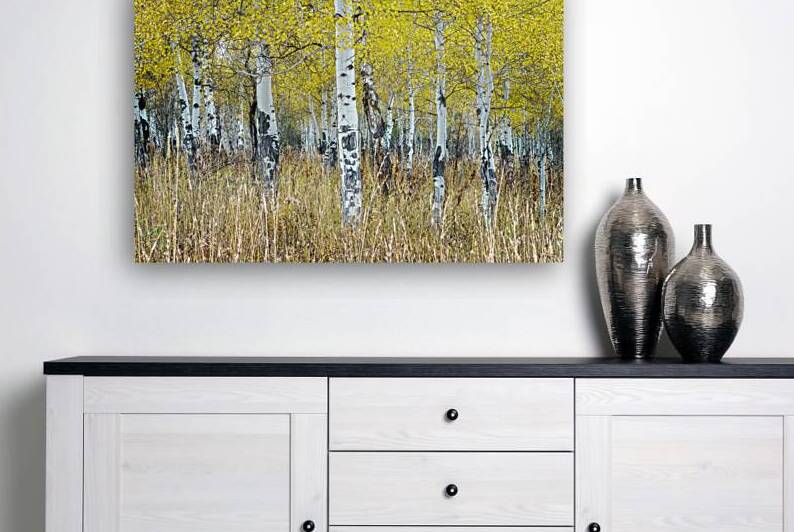 Aspens Reproduction