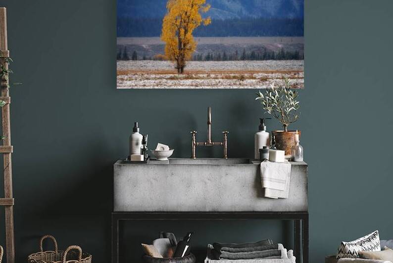 Autumn Cottonwood by Rick Berk