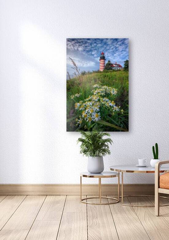 Tall White Asters at West Quoddy Head by Rick Berk