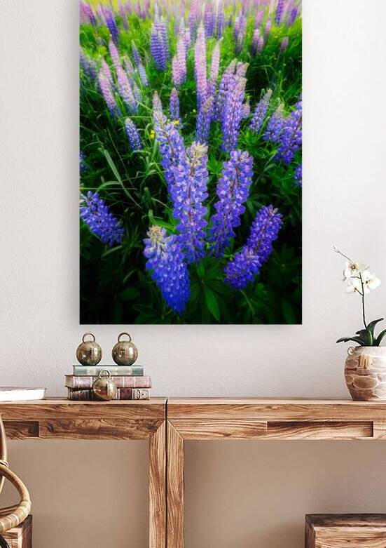 Lupines by Rick Berk