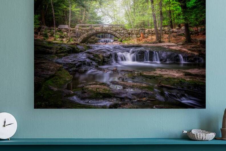 Spring Day in Vaughan Woods by Rick Berk