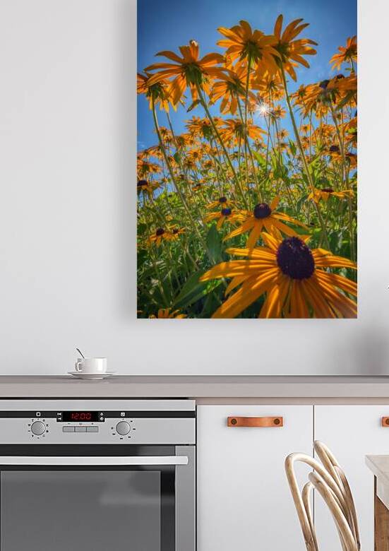 Black Eyed Susans Bask in the Sun by Rick Berk