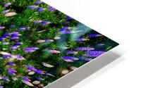 Lupine Kaleidoscope HD Metal print