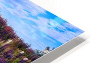 Spring Colors HD Metal print