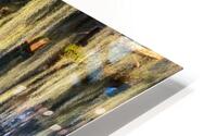 From Sunlight to Shadow HD Metal print