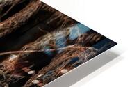 Snowy Egret HD Metal print
