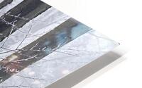 Frozen Fog HD Metal print