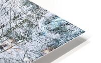 Crystallline Canopy HD Metal print