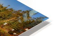 Springtime Acadia HD Metal print