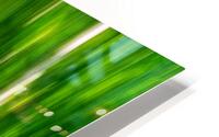 Spring Birches Abstract HD Metal print