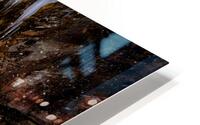 Winter at Sabbaday Brook HD Metal print