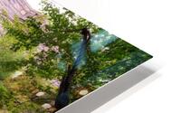 Spring Flow at Duck Brook HD Metal print